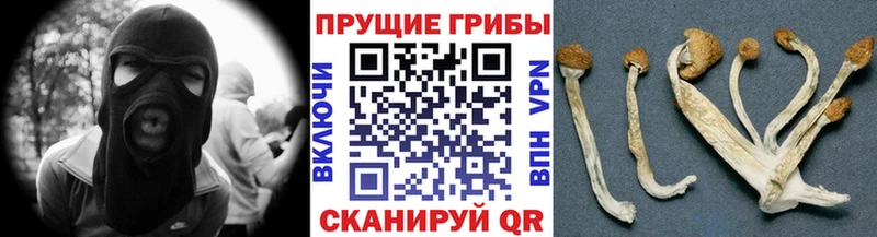Галлюциногенные грибы ЛСД  наркошоп  Ужур 
